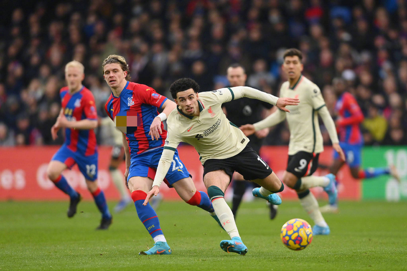 俱乐部的发 俱乐部的发